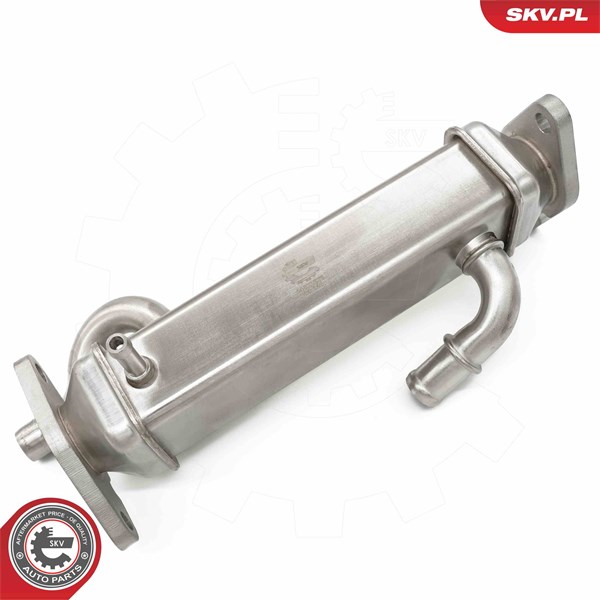 Egr-ventil Esen skv 14SKV273 ESEN SKV