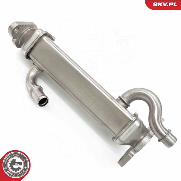 Egr-ventil Esen skv 14SKV273 ESEN SKV