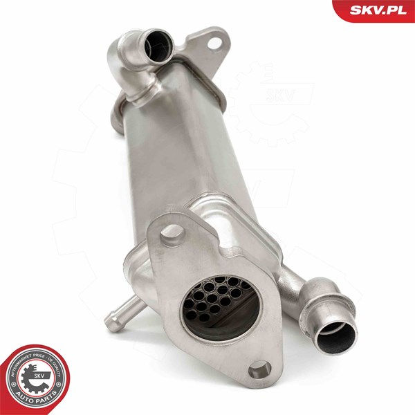 Egr-ventil Esen skv 14SKV273 ESEN SKV