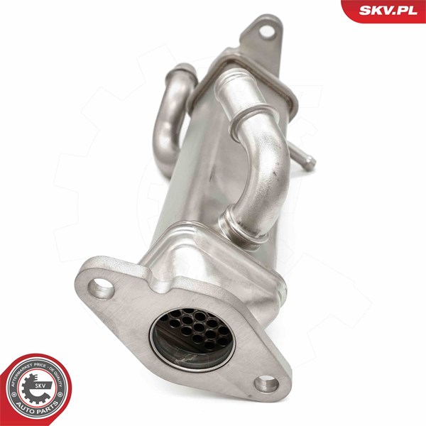 Egr-ventil Esen skv 14SKV273 ESEN SKV