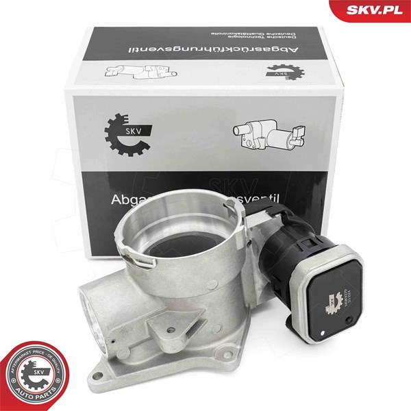 Egr-ventil Esen skv 14SKV279 ESEN SKV