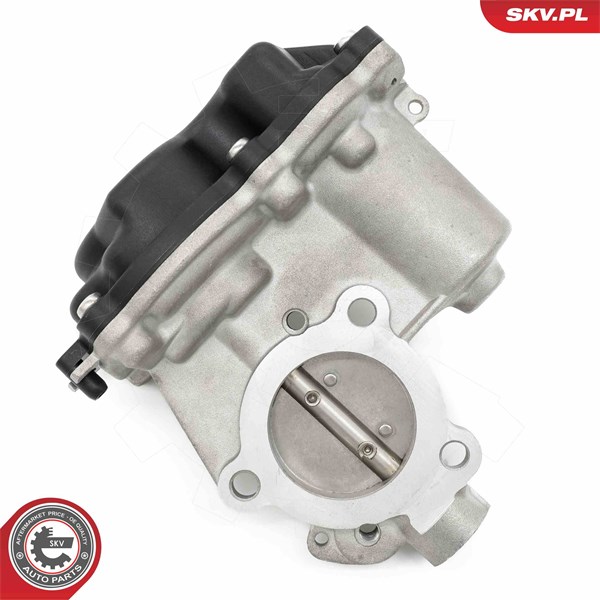 Egr-ventil Esen skv 14SKV281 ESEN SKV