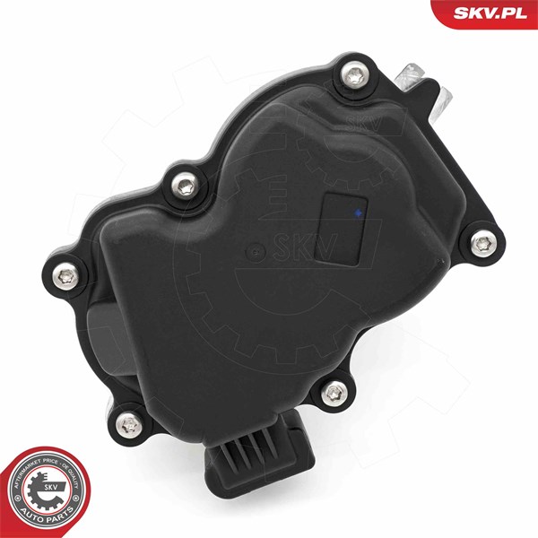 Egr-ventil Esen skv 14SKV281 ESEN SKV