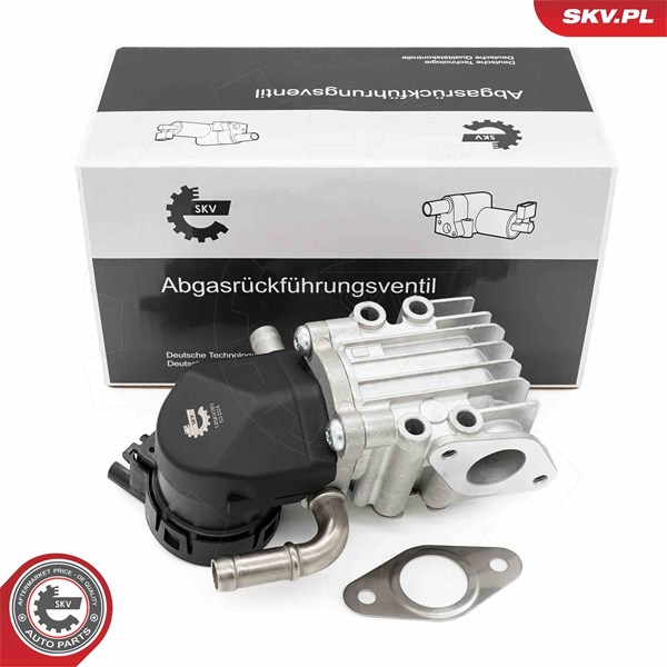 Egr-ventil Esen skv 14SKV283 ESEN SKV
