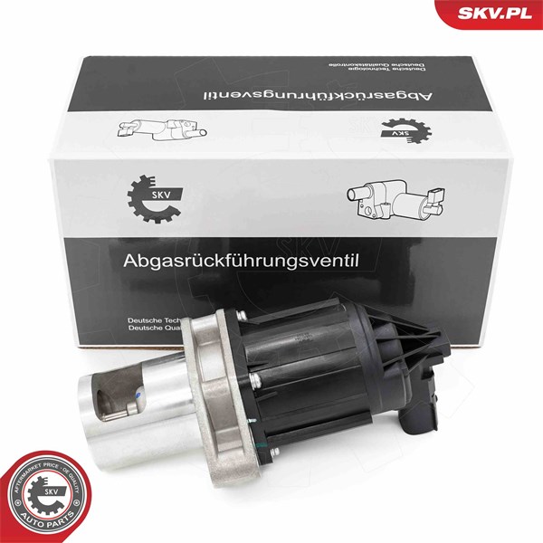 Egr-ventil Esen skv 14SKV284 ESEN SKV