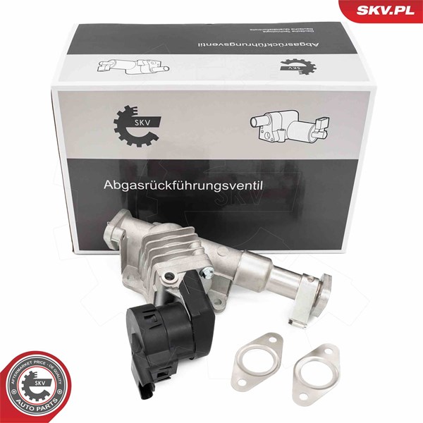 Egr-ventil Esen skv 14SKV287 ESEN SKV