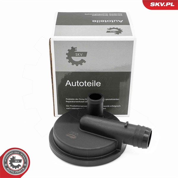Ventil, vevhusventilation Esen skv 31SKV415 ESEN SKV