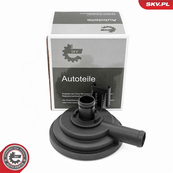 Ventil, vevhusventilation Esen skv 31SKV416 ESEN SKV