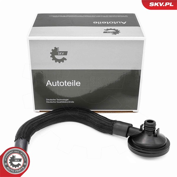 Ventil, vevhusventilation, Cylindriskt huvud Esen skv 31SKV420 ESEN SKV