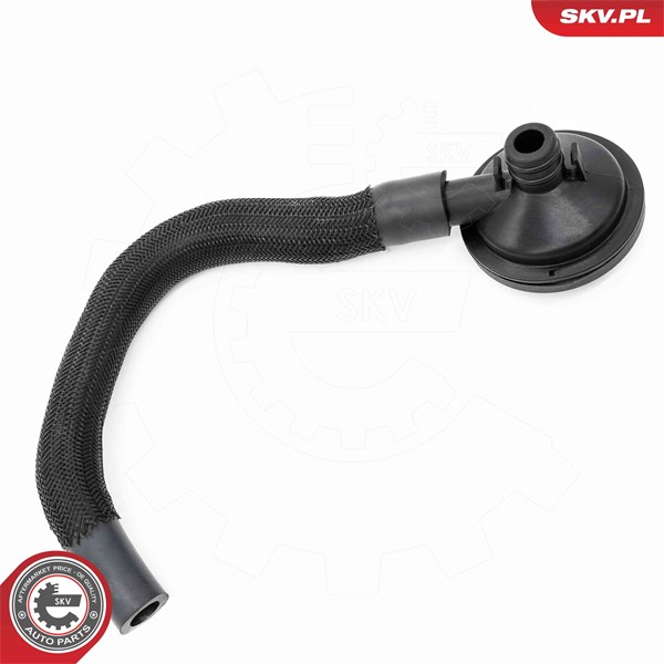Ventil, vevhusventilation, Cylindriskt huvud Esen skv 31SKV420 ESEN SKV