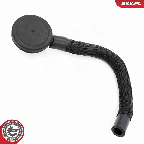 Ventil, vevhusventilation, Cylindriskt huvud Esen skv 31SKV420 ESEN SKV