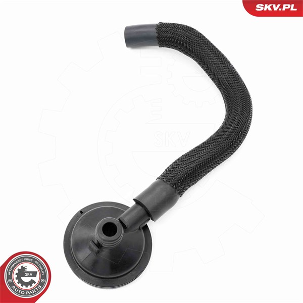 Ventil, vevhusventilation, Cylindriskt huvud Esen skv 31SKV420 ESEN SKV