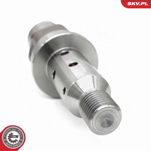 VVT-ventil Esen skv 39SKV069 ESEN SKV VVT-ventil Esen skv 39SKV069 ESEN SKV