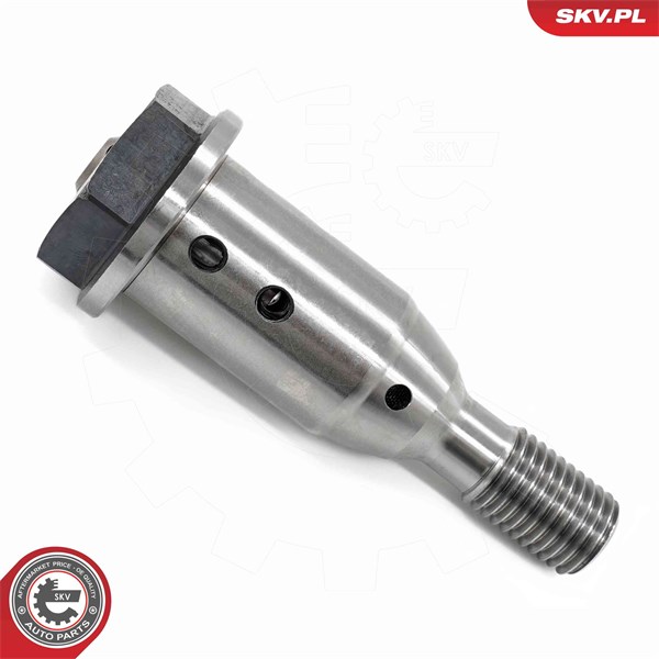 VVT-ventil Esen skv 39SKV070 ESEN SKV VVT-ventil Esen skv 39SKV070 ESEN SKV