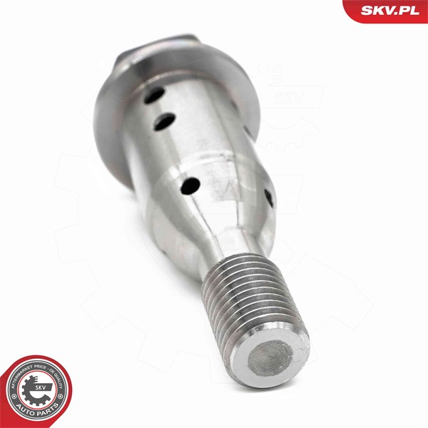 VVT-ventil Esen skv 39SKV070 ESEN SKV