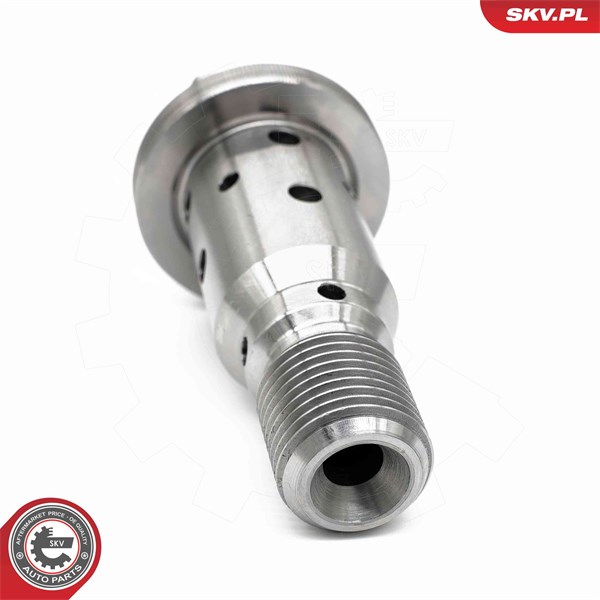 VVT-ventil Esen skv 39SKV074 ESEN SKV VVT-ventil Esen skv 39SKV074 ESEN SKV