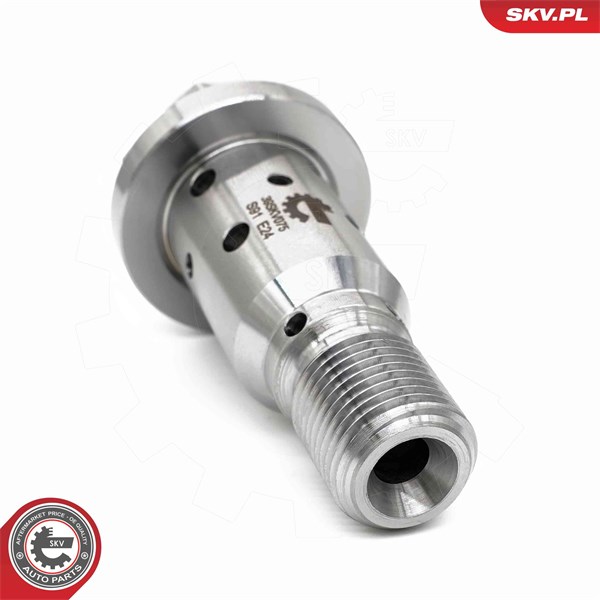 VVT-ventil Esen skv 39SKV075 ESEN SKV VVT-ventil Esen skv 39SKV075 ESEN SKV