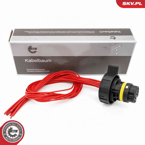 Styrventil, automatisk transmission Esen skv 53SKV029 ESEN SKV