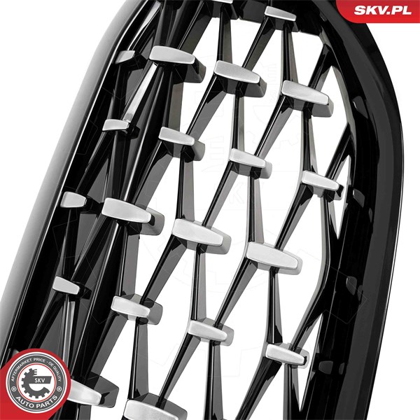 Kylargrill, Mitt Esen skv 66SKV142 ESEN SKV Kylargrill, Mitt Esen skv 66SKV142 ESEN SKV