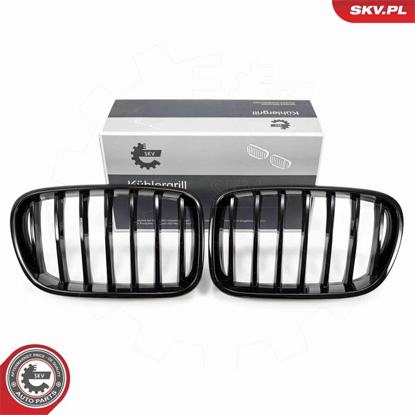 Kylargrill Esen skv 66SKV248 ESEN SKV