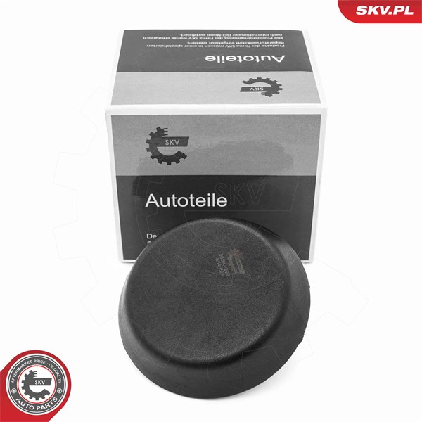 Domkraftspunkt Esen skv 96SKV299 ESEN SKV