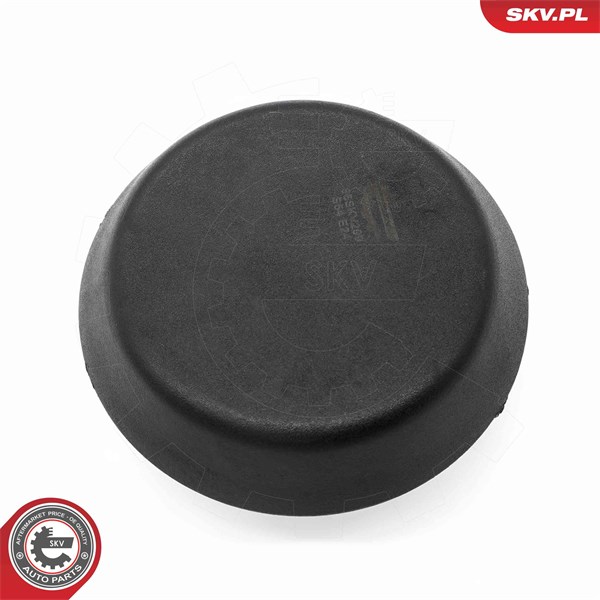 Domkraftspunkt Esen skv 96SKV299 ESEN SKV