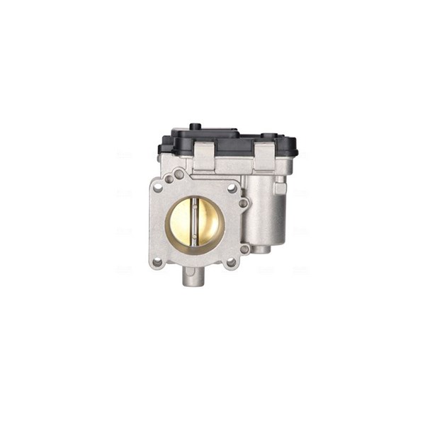 Gasspjäll/Spjällhus 12V Nissens 955088 NISSENS