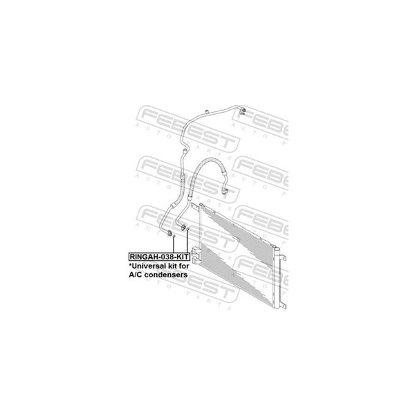 Tätningsring, AC-ledning Febest RINGAH-038-KIT FEBEST