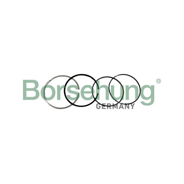Kolvringar, kit Borsehung B10371 Borsehung