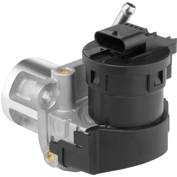 Egr-ventil Borgwarner (wahler) 710095D/1 BorgWarner (Wahler)