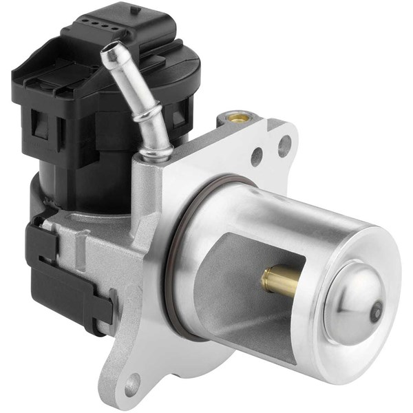 Egr-ventil Borgwarner (wahler) 710095D/1 BorgWarner (Wahler)