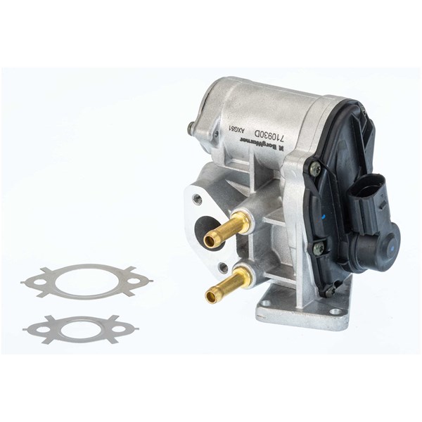 Egr-ventil Borgwarner (wahler) 710930D/1 BorgWarner (Wahler)