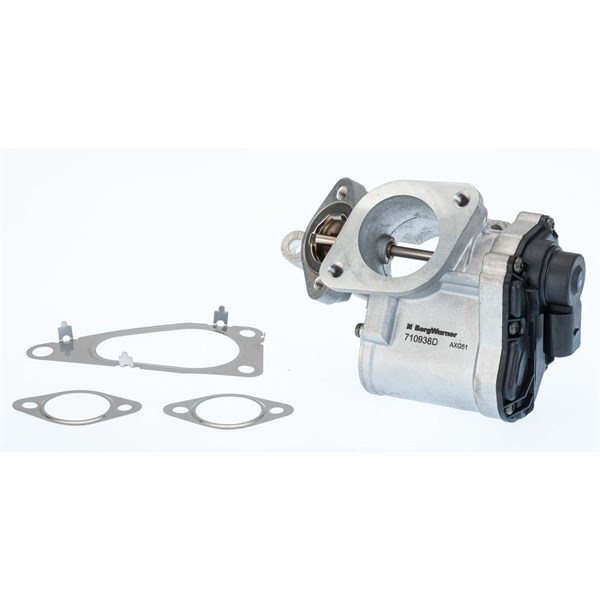 Egr-ventil Borgwarner (wahler) 710938D/1 BorgWarner (Wahler)