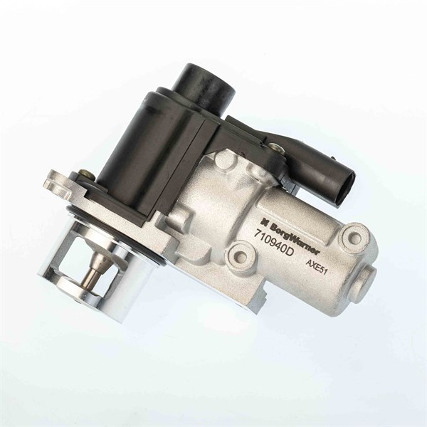 Egr-ventil Borgwarner (wahler) 710940D/1 BorgWarner (Wahler)