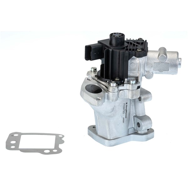 Egr-ventil Borgwarner (wahler) 710975D/1 BorgWarner (Wahler)