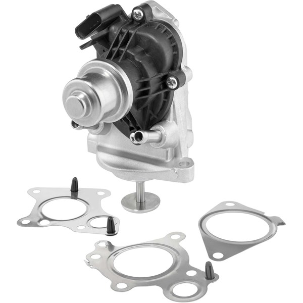 Egr-ventil Borgwarner (wahler) 710980D BorgWarner (Wahler)