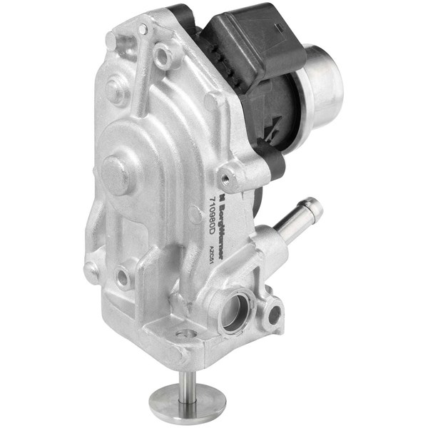 Egr-ventil Borgwarner (wahler) 710980D BorgWarner (Wahler)