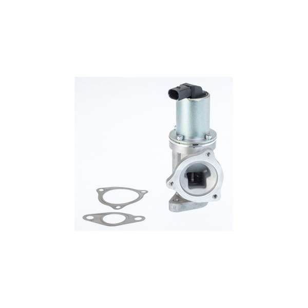 Egr-ventil Borgwarner (wahler) 711031D/1 BorgWarner (Wahler)