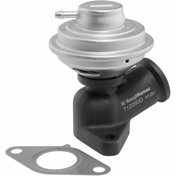 Egr-ventil Borgwarner (wahler) 712090D BorgWarner (Wahler)