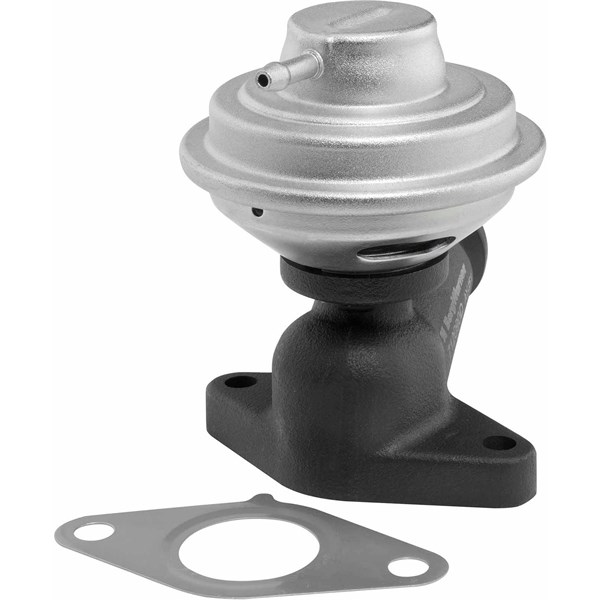 Egr-ventil Borgwarner (wahler) 712090D BorgWarner (Wahler)