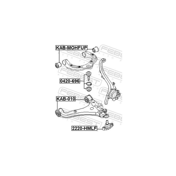 Kulled / Spindelled, Nedre framaxel Febest 2220-HMLF FEBEST Kulled / Spindelled, Nedre framaxel Febest 2220-HMLF FEBEST