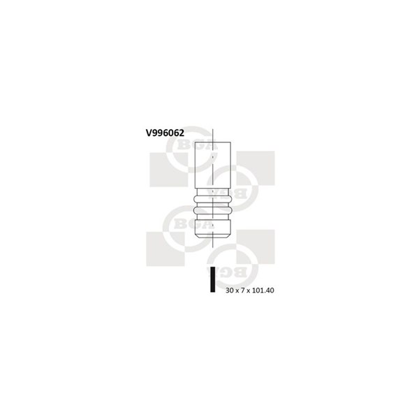 Avgasventil Bga V996062 BGA