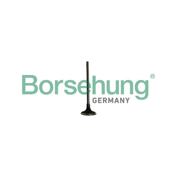 Insugsventil Borsehung B10334 Borsehung