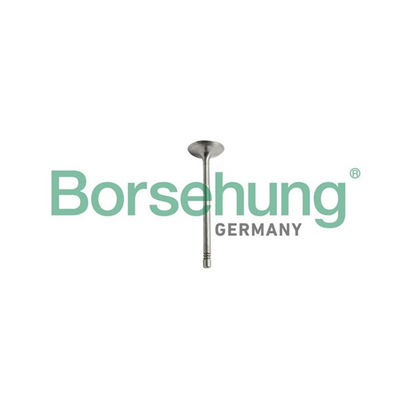Kolvringar, kit Borsehung B10344 Borsehung