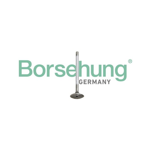 Kolvringar, kit Borsehung B10345 Borsehung