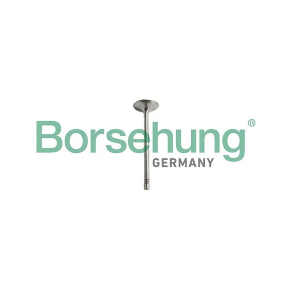 Insugsventil Borsehung B10351 Borsehung