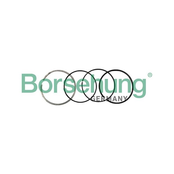 Kolvringar, kit Borsehung B10370 Borsehung