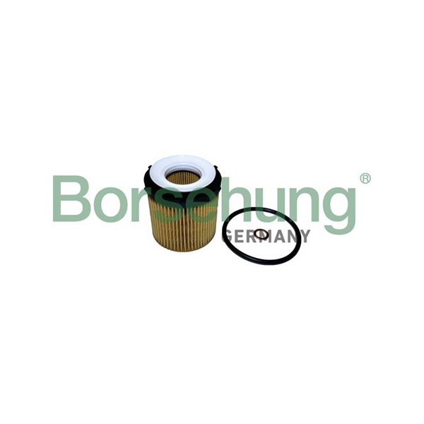 Oljefilter Borsehung B10441 Borsehung