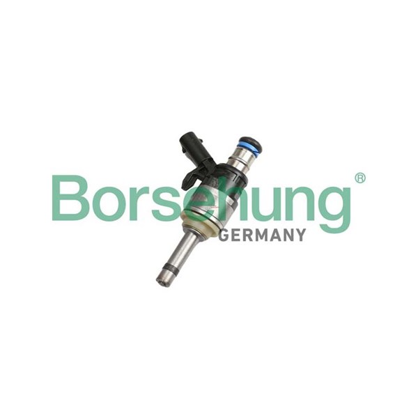 Insprutningsventil Borsehung B11168 Borsehung