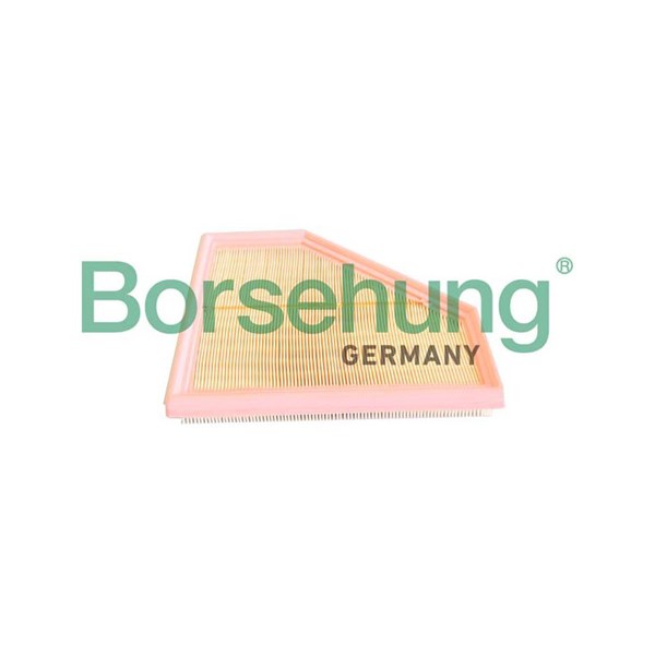 Luftfilter, Vänster Borsehung B12292 Borsehung